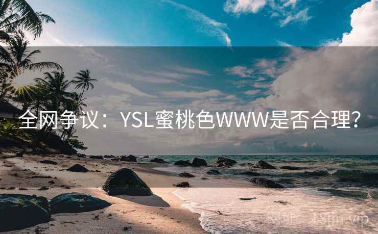 全网争议：YSL蜜桃色WWW是否合理？