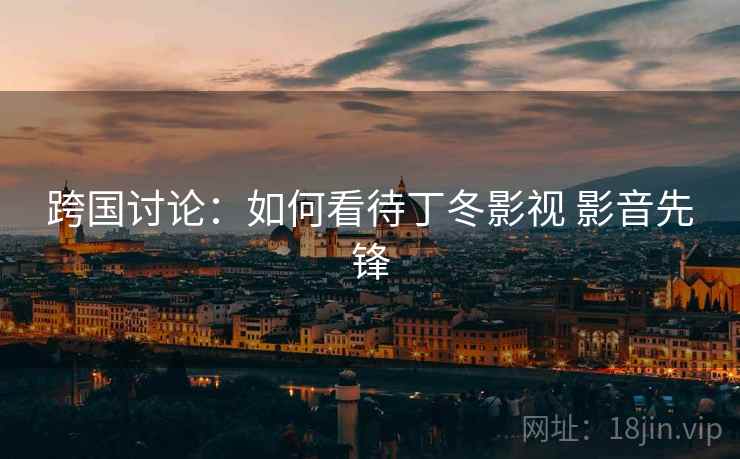 跨国讨论：如何看待丁冬影视 影音先锋